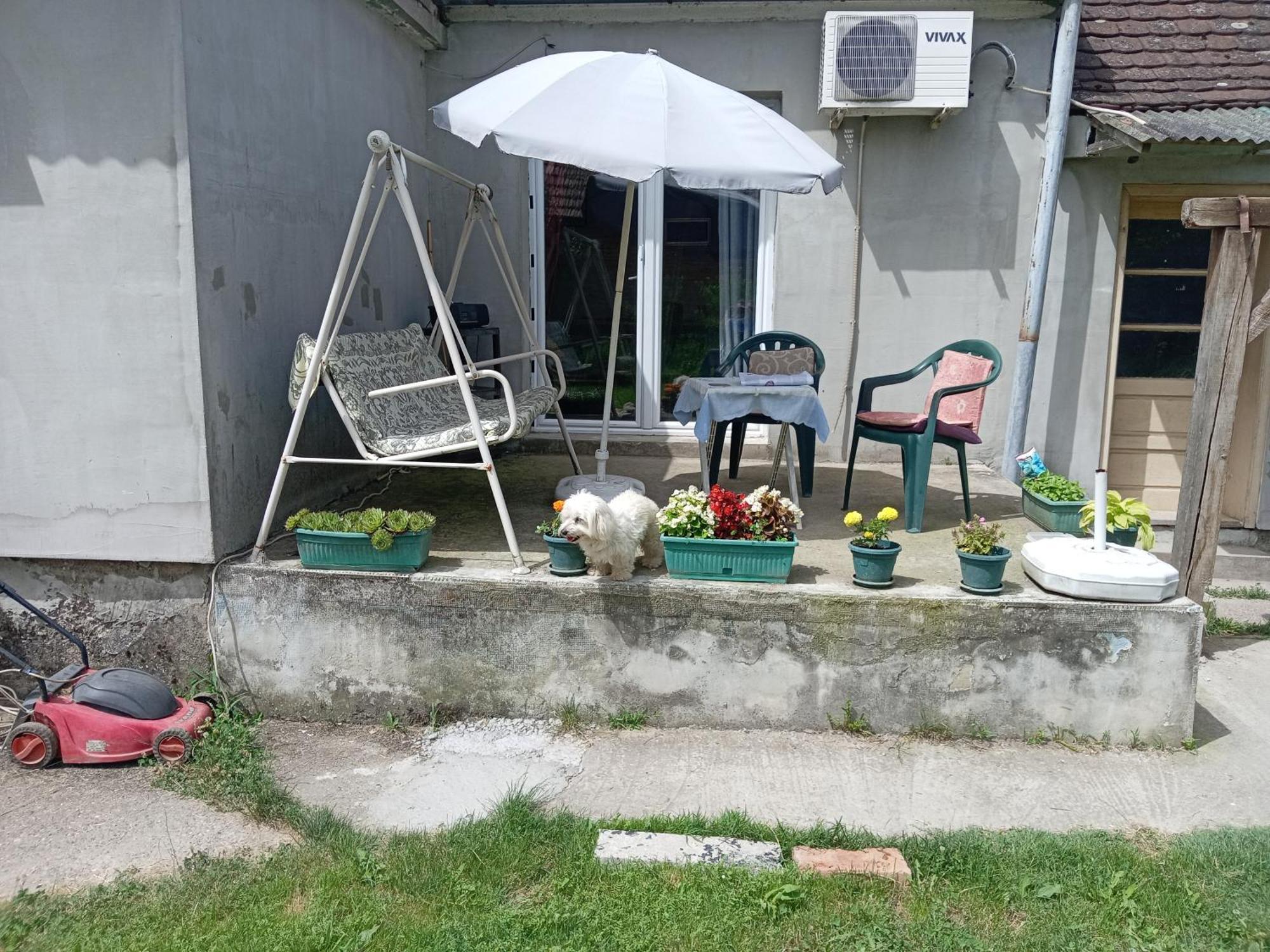 "Poetsko Cose" Nikole Tesle 86 Pension Morović Buitenkant foto