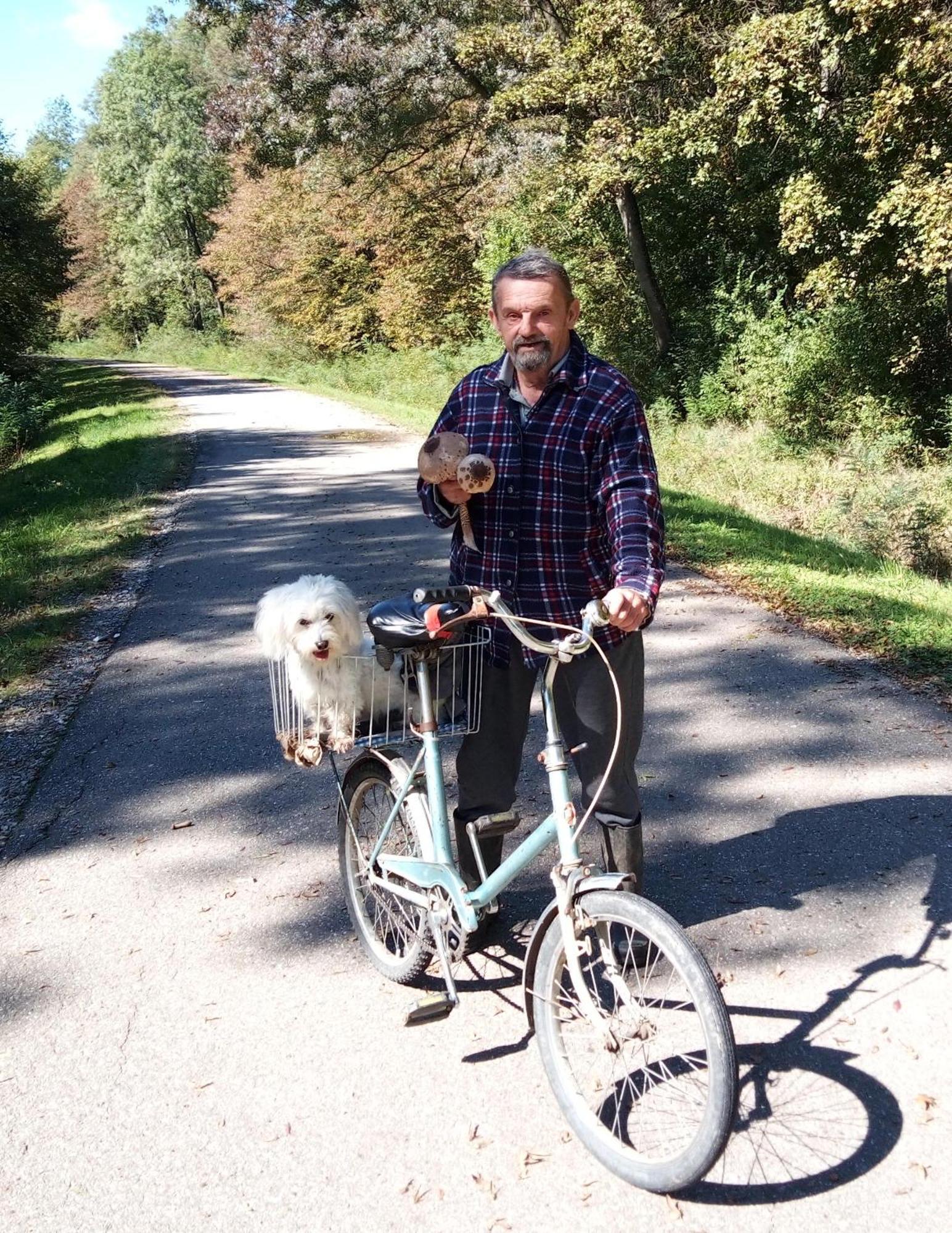 "Poetsko Cose" Nikole Tesle 86 Pension Morović Buitenkant foto